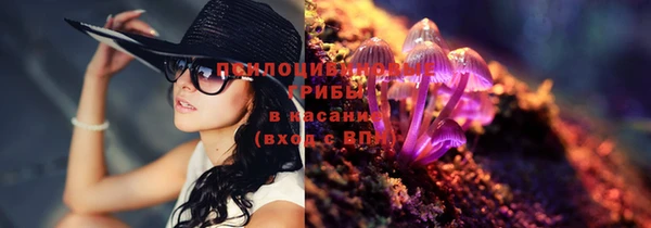 мескалин Медвежьегорск
