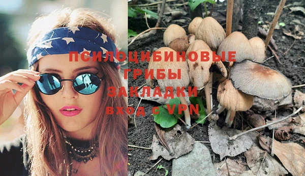 a pvp Мегион
