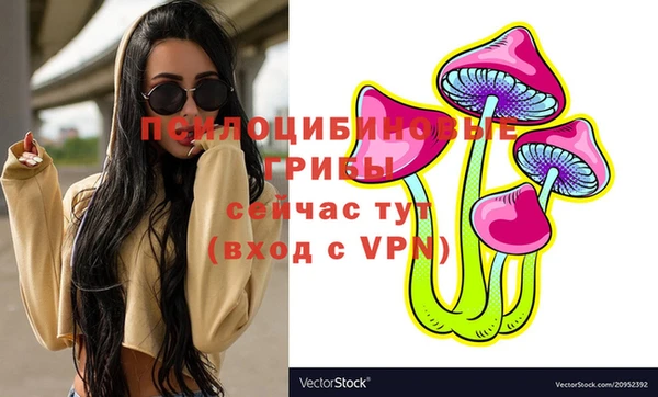 a pvp Мегион