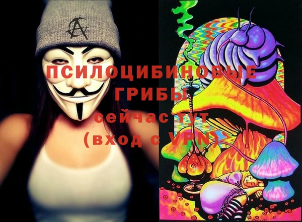 a pvp Мегион